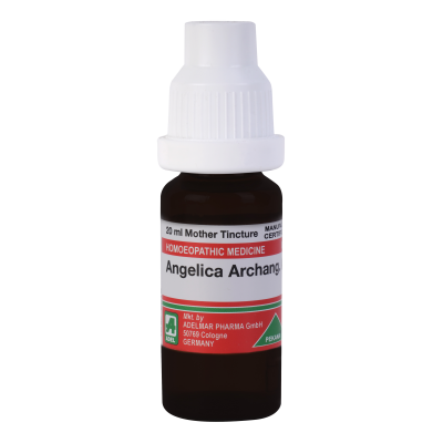 Angelica Archangelica  Q (20ML)